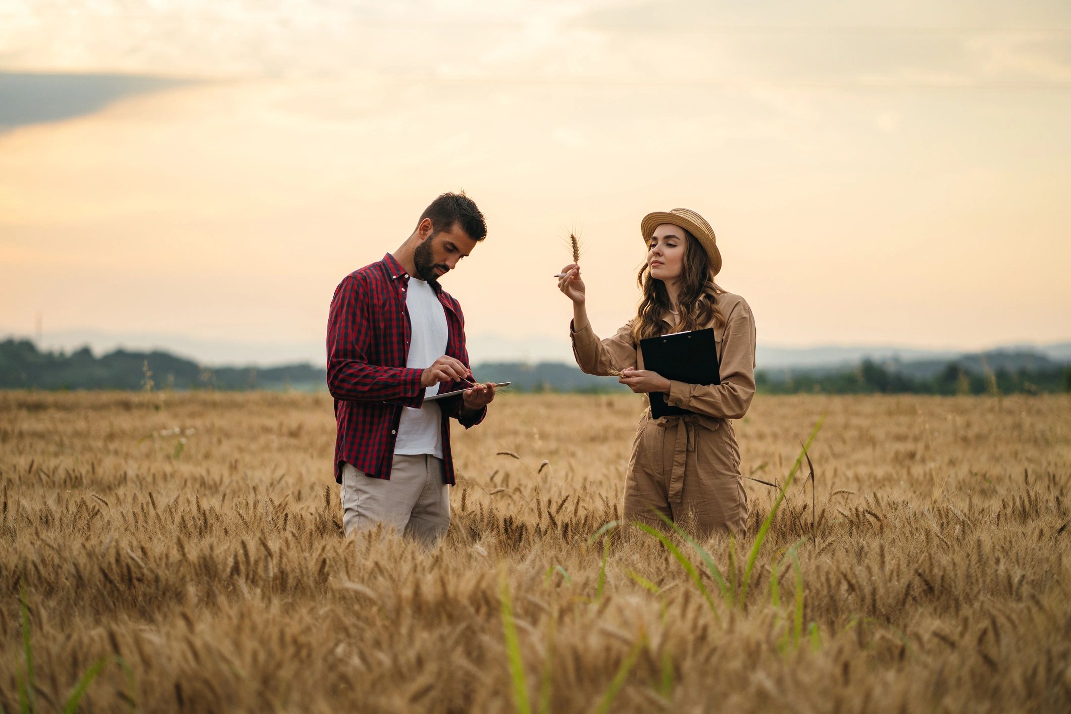 Two agricultural professionals evaluating crop quality in a field