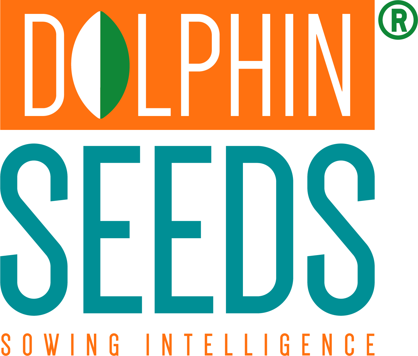 Dolphin eeds International